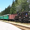 P1010048