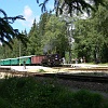 P1010049