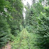 P1020829