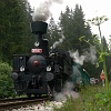 P1030104