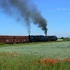P1100507