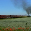 P1100512