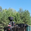 IMG_20210712_155050